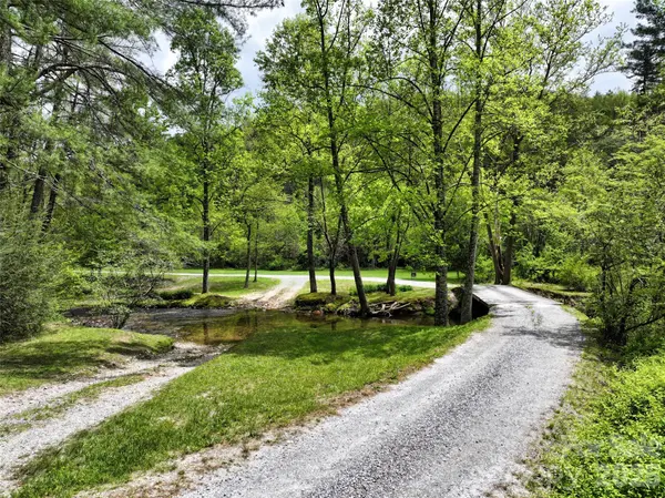 195 & 00000 Blueberry Farm RD, Zirconia, NC 28790