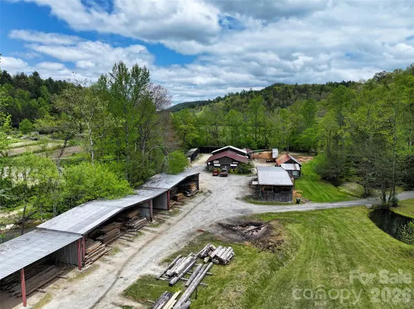 195 & 00000 Blueberry Farm RD, Zirconia, NC 28790