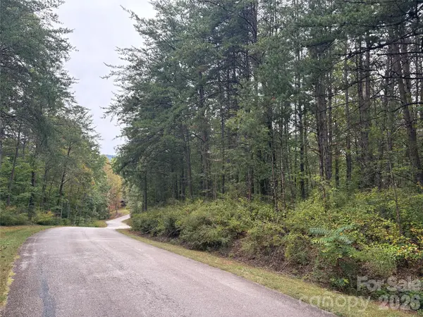 lot 19 Silent Forest WAY, Lake Lure, NC 28746