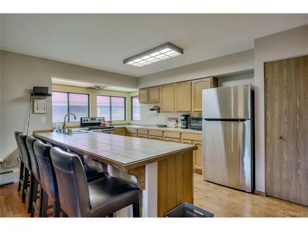 742 Lagoon #E, Frisco, CO 80443