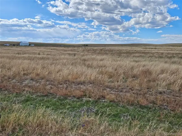 41683 Bijou View, Agate, CO 80101