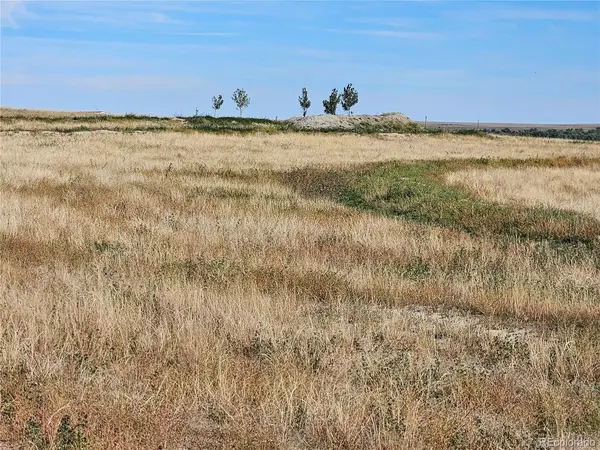 41683 Bijou View, Agate, CO 80101