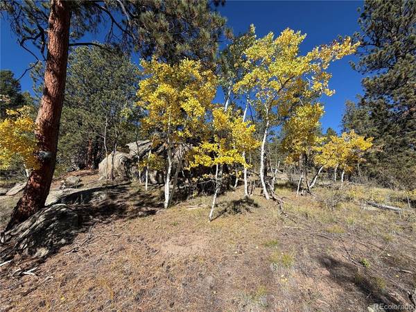 184 Spruce, Guffey, CO 80820
