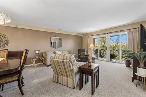710 CREEKSIDE DR #504, Mount Prospect, IL 60056