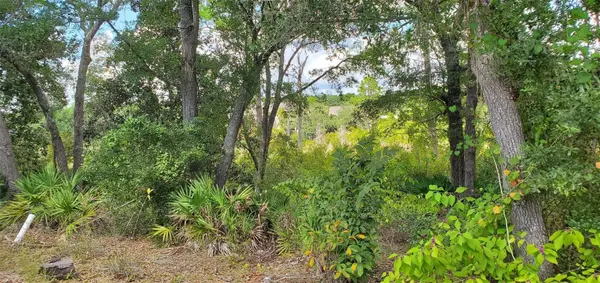 6 COVE CREEK LN, Inlet Beach, FL 32413