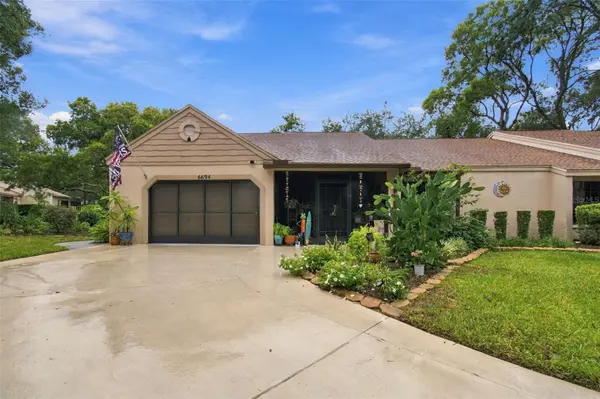 6694 PIN OAK CT, Spring Hill, FL 34606