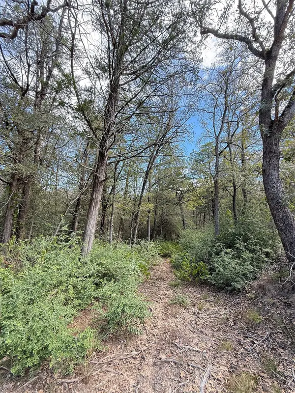 TBD Hanauma, Bastrop, TX 78602