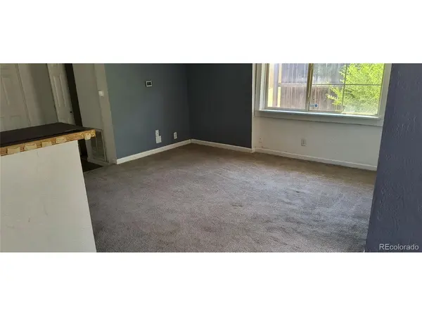 166 Newton, Denver, CO 80219