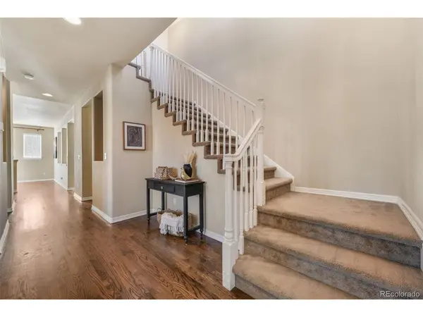 13867 Antelope Pass, Colorado Springs, CO 80921