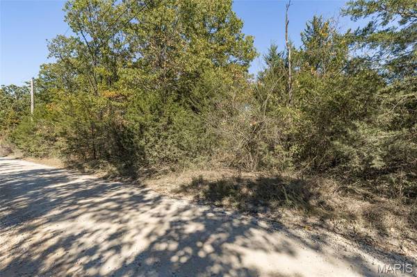 0 Lake Park TRL, De Soto, MO 63020