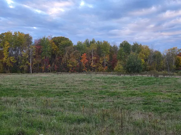 8250 Hawk Ridge RD, Grasston, MN 55030