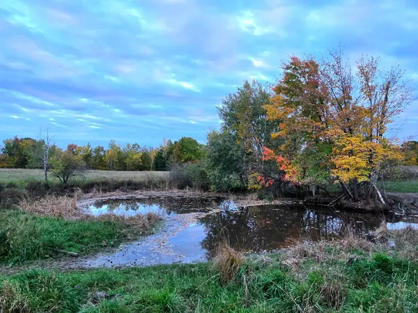8250 Hawk Ridge RD, Grasston, MN 55030