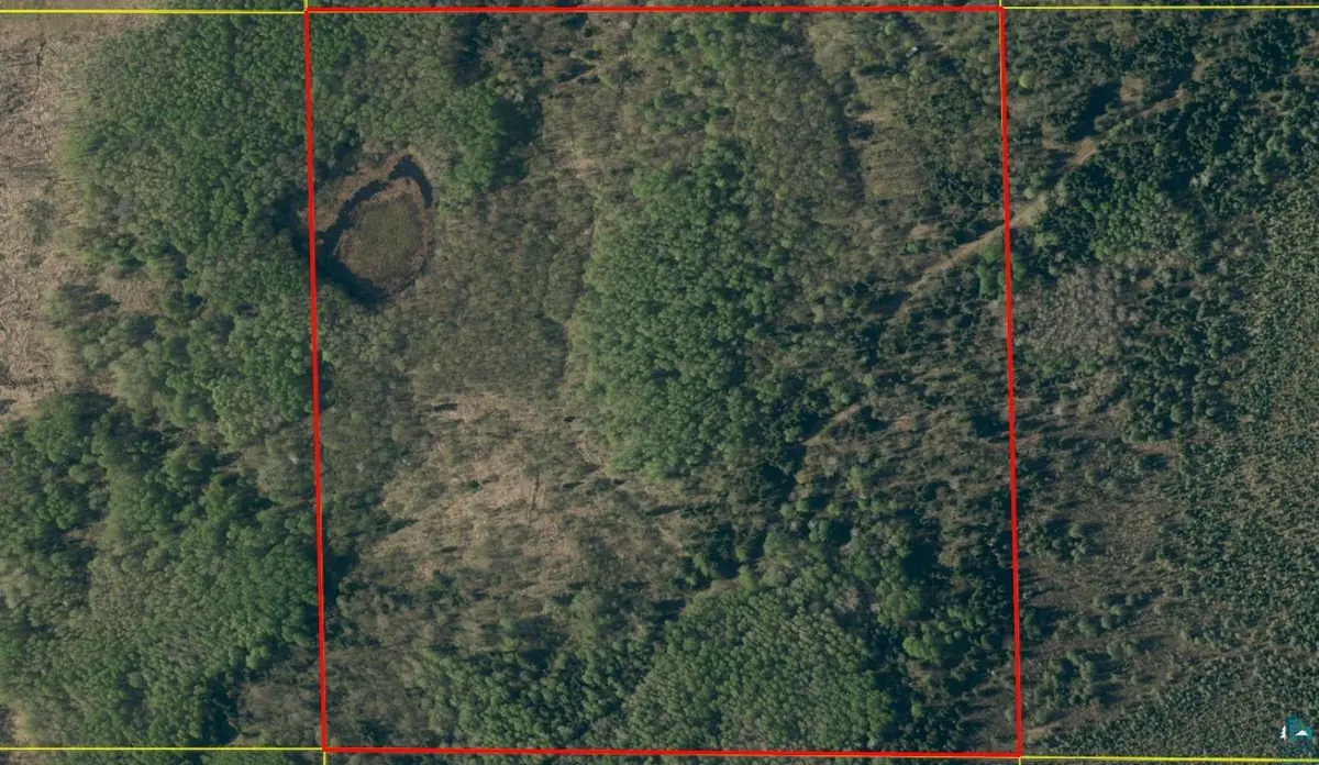 40 Acres Near Chippewa Lake Road, Butternut, WI 54515