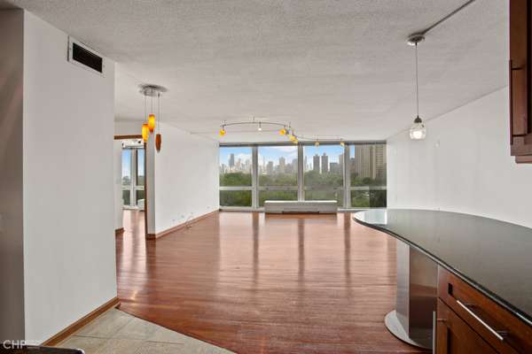 330 W Diversey Pkwy #807-809, Chicago, IL 60657