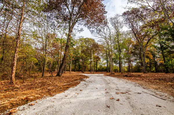 5437 Reynolds Rd, Columbia, TN 38401