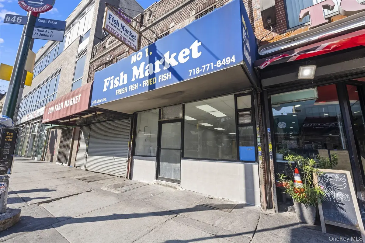 246 Utica AVE, Brooklyn, NY 11213