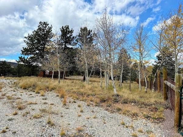3330 Singletree, Hartsel, CO 80449