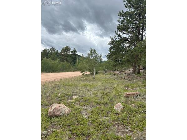 155 County Road 403, Florissant, CO 80816