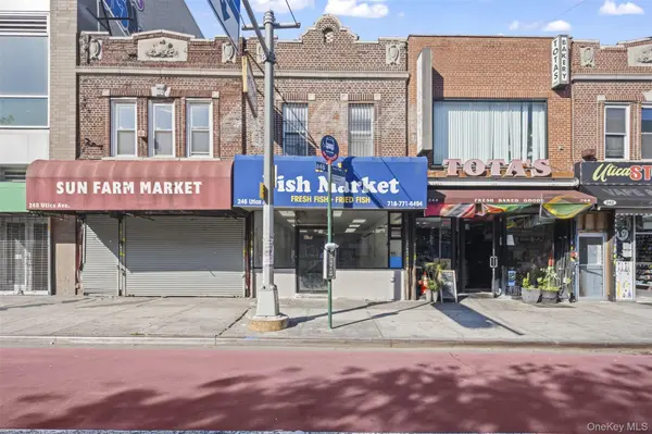 246 Utica AVE, Brooklyn, NY 11213