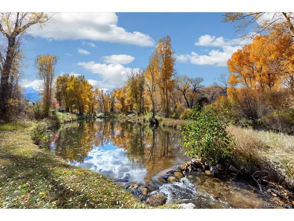 16975 County Road 306, Buena Vista, CO 81211