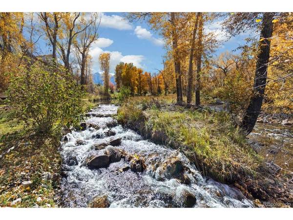 16975 County Road 306, Buena Vista, CO 81211