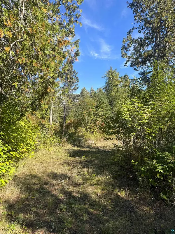 85 Powers Lake Rd, Hovland, MN 55606