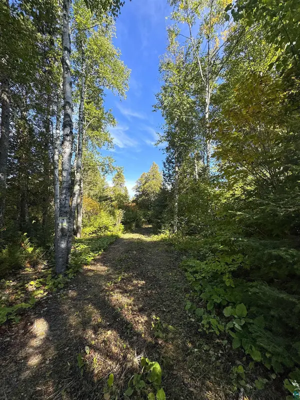85 Powers Lake Rd, Hovland, MN 55606
