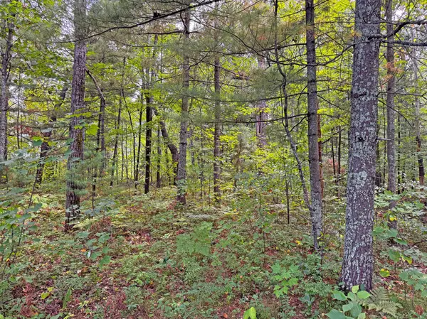 24771 Swede RD, Webster, WI 54893