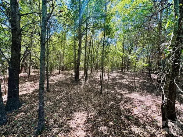 Lot 167 Brangus LN, Cheraw, SC 29520