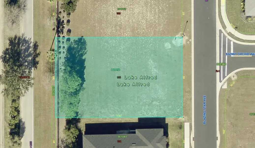 199 BLAZING STAR AVE, Lake Alfred, FL 33850