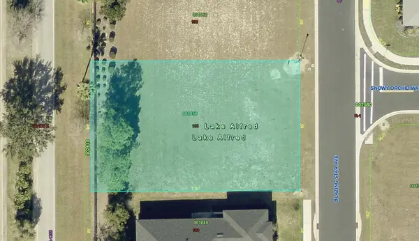 199 BLAZING STAR AVE, Lake Alfred, FL 33850
