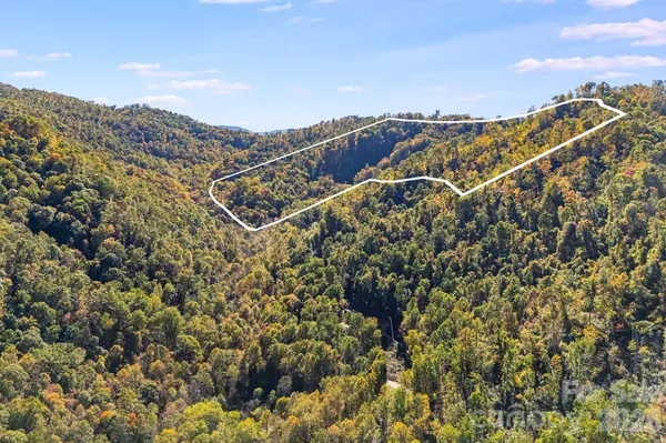 000 Hamburg RD #49, Mars Hill, NC 28754