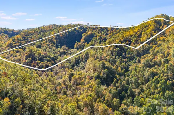 000 Hamburg RD #49, Mars Hill, NC 28754