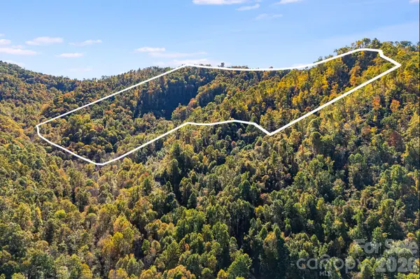 000 Hamburg RD #49, Mars Hill, NC 28754