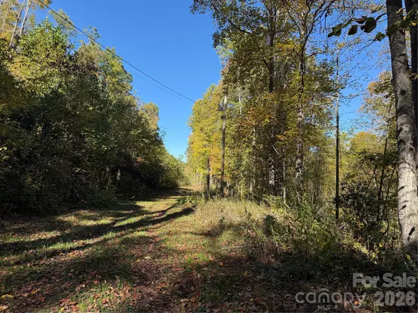 000 Hamburg RD #17, Mars Hill, NC 28754