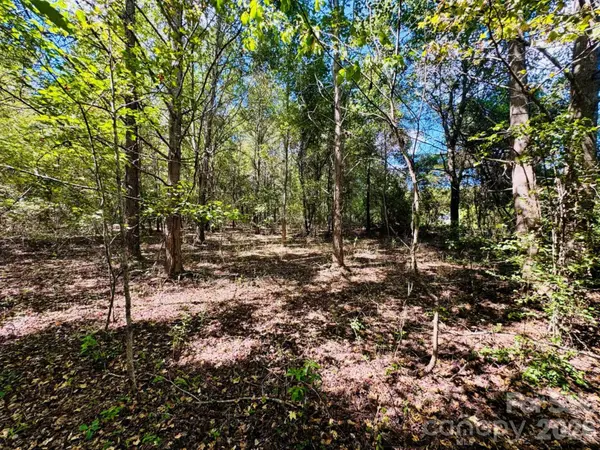Lot 166 Brangus LN, Cheraw, SC 29520