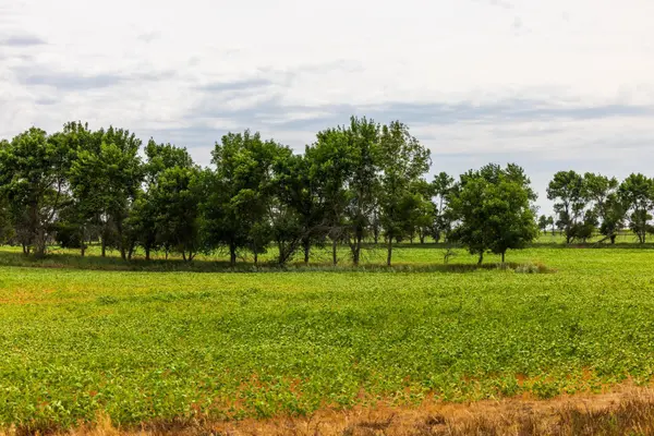 TBD 4 Ave NE Lot 1, Bottineau, ND 58318