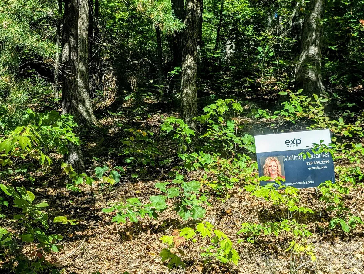 0000 Mackenzie WAY, Swannanoa, NC 28778