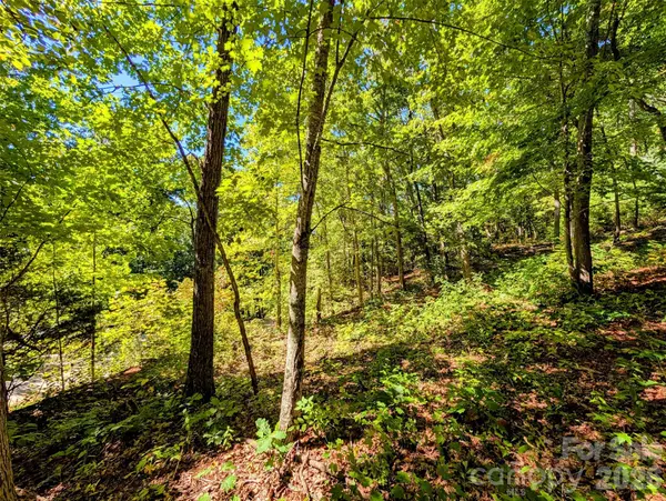 0000 Mackenzie WAY, Swannanoa, NC 28778