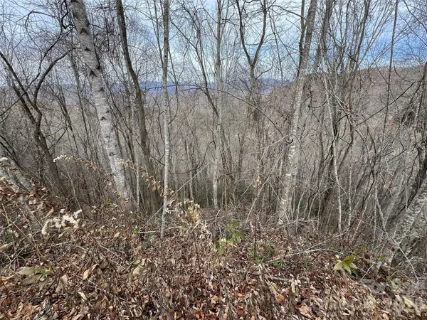 Lot 7 Deer Ridge RD, Bryson City, NC 28713