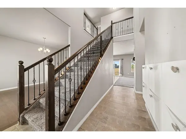 5632 Bristow, Timnath, CO 80547