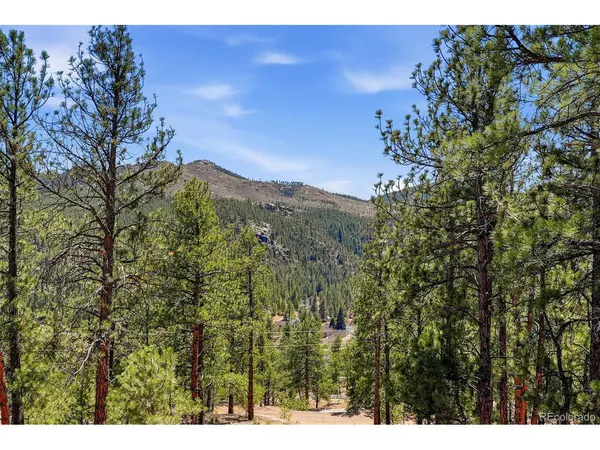 16687 Ouray, Pine, CO 80470