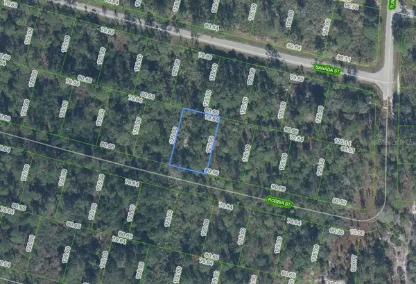 8604 ROBBIA ST, Sebring, FL 33872