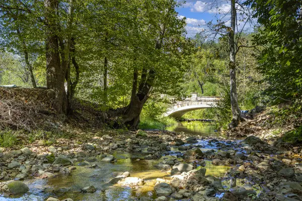 1320 Mountain Ash Way, Sevierville, TN 37876