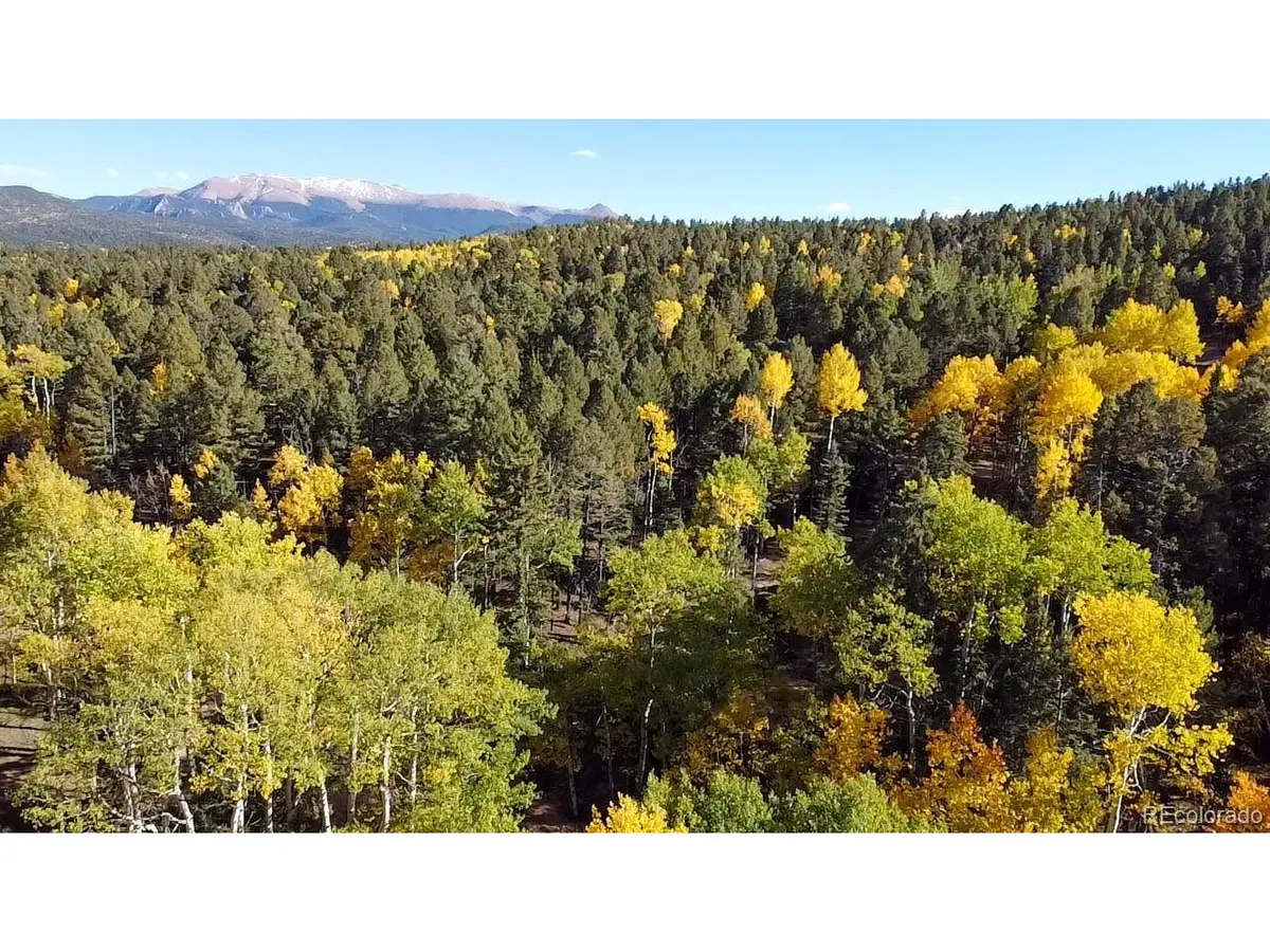 714 Will Stutley, Divide, CO 80814