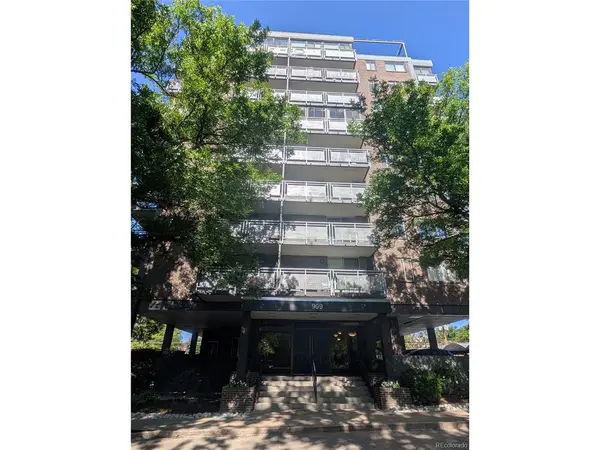 909 N Lafayette #403, Denver, CO 80218