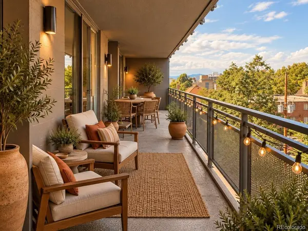 909 N Lafayette #403, Denver, CO 80218