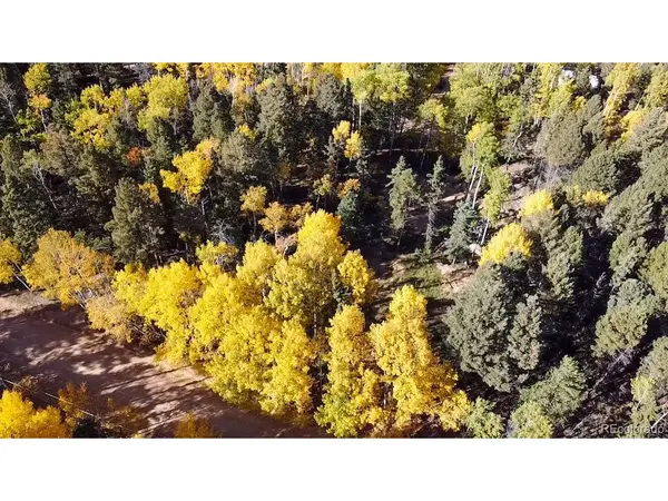 714 Will Stutley, Divide, CO 80814