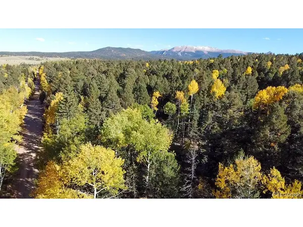 714 Will Stutley, Divide, CO 80814
