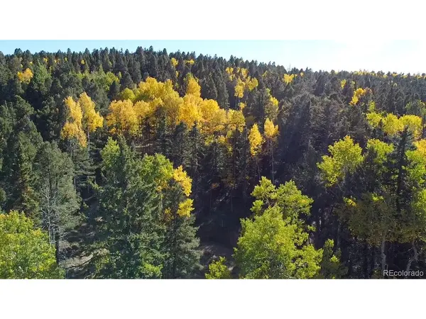 714 Will Stutley, Divide, CO 80814